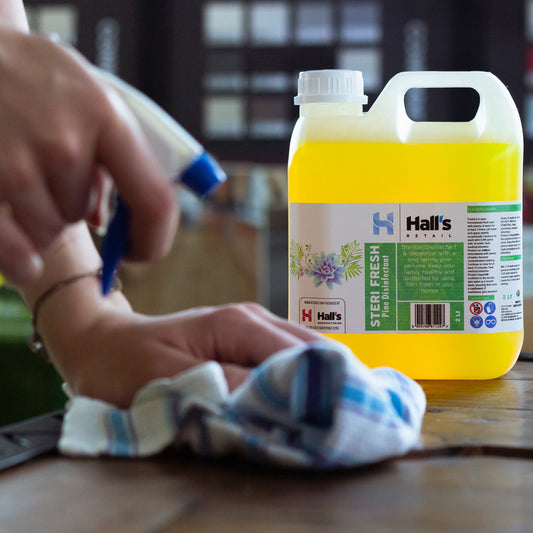 Our summer cleaning picks