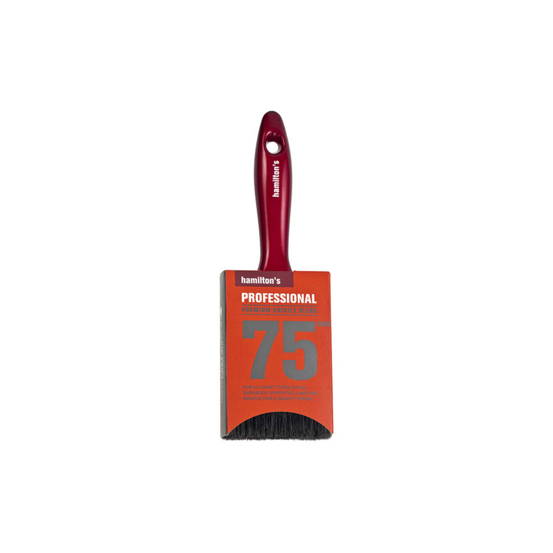 Professional Brush Hamilton - Hall's Retail